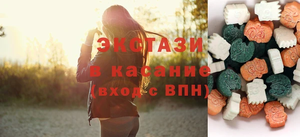ECSTASY Богородицк
