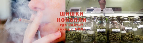 мяу мяу мука Белокуриха