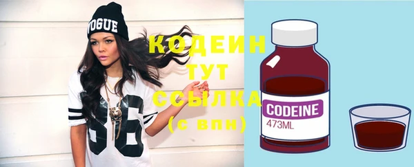 ECSTASY Богородицк