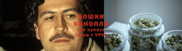 мяу мяу мука Белокуриха