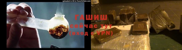 ECSTASY Богородицк