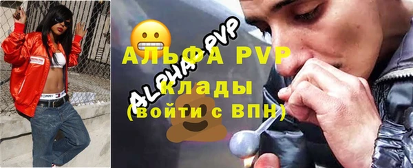 ECSTASY Богородицк