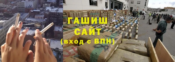 ECSTASY Богородицк