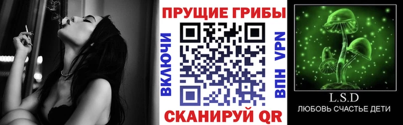 Псилоцибиновые грибы Cubensis  Кузнецк 
